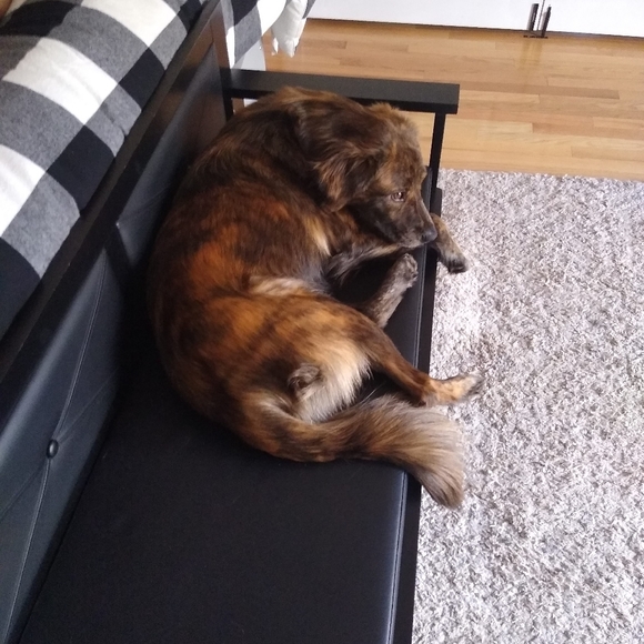 Meet your Posher, Andrea - Picture 10 of 16